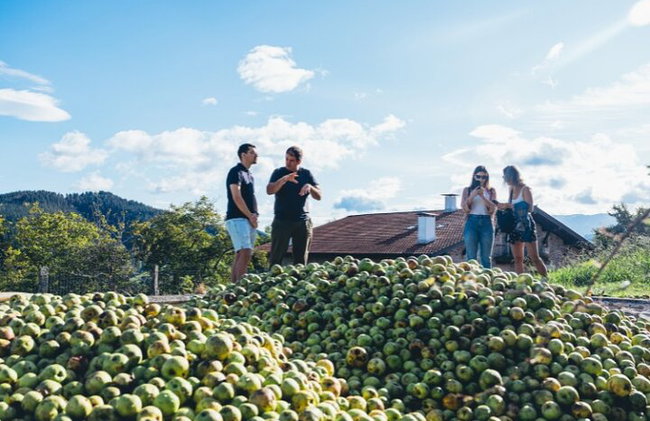 "Basque Whaleship & Cider House" tour + meal from San Sebastian - Foto 8