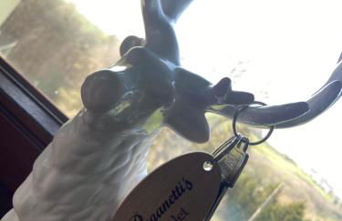 Paganetti´s Chalet - Two Bedroom House - Foto 45