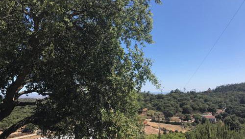 Casa da Nave - Foto 3