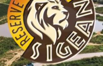 Appartement spacieux avec grand patio, 1er étage - Foto 17