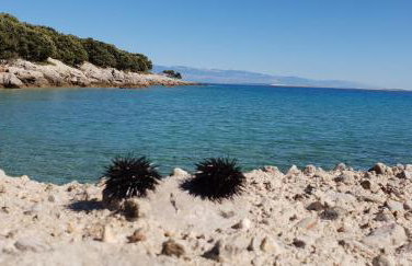 Holiday home Verin - Foto 41