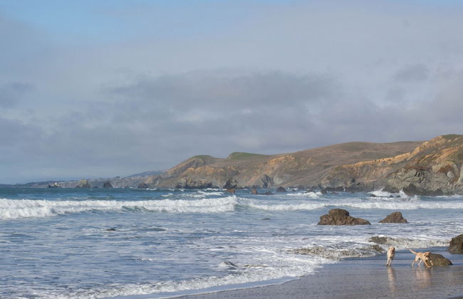 Dillon Beach Resort - Photo 34