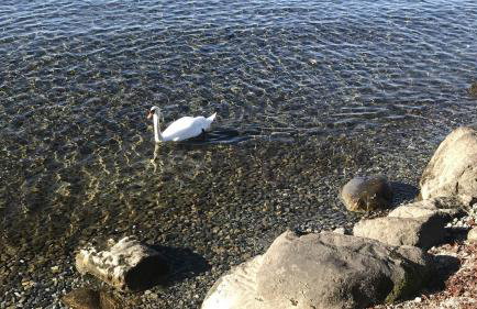 Maisonette am See - Foto 40