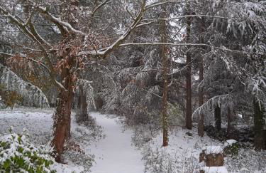 Maison calme avec piscine entourée de son parc - Foto 26