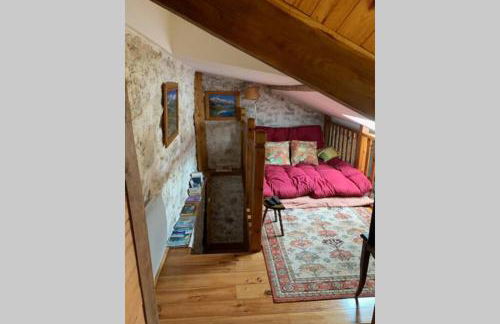 BASIA, Lourdes - centre , quartier historique Sanctuaires a 7 min a pied - Foto 21