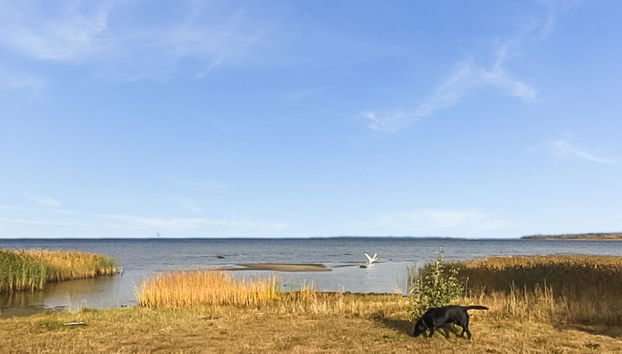 Merivanamo - Foto 3, Inside other