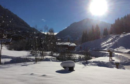 Le Savoyard - Photo 29