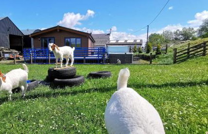 Glen Roe - 3 Bed Lodge on Friendly Farm Stay - Foto 23
