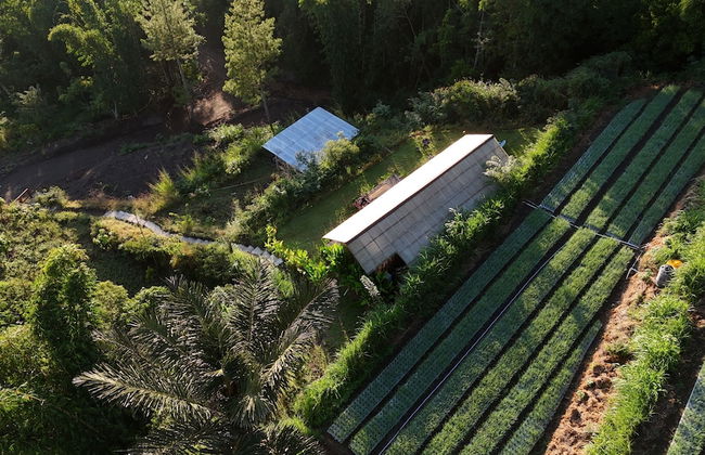 Calidas Hill - Photo 34