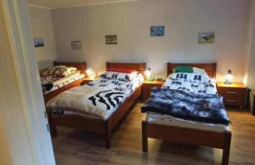 Dwór Klewiny - Foto 16