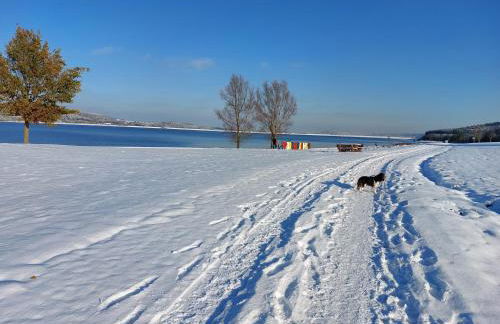 Fewo Erdgeschoss Ankerplatz mit Sauna direkt am Brombachsee bei Juliane und Klaus - Foto 26
