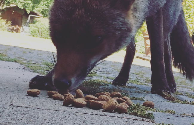 Le Roghete - Foto 27