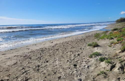 Mini villa au bord de la mer, proche Moriani (Corse) - Foto 14