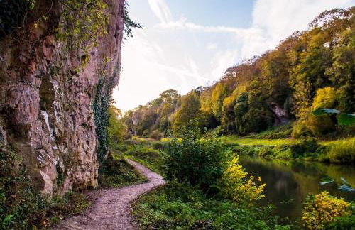 The Lantern - Foto 23