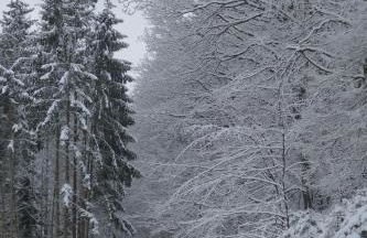 Ferienwohnung Hüppelröttchen - Foto 30