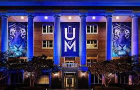 Cozy Delightful Private Studio near Rhodes College, Shuttle, & Vehicle Rental - Foto 36