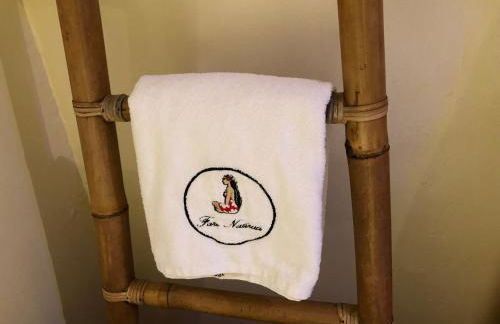 Aux portes de la Camargue studio balneo sauna et piscine - Foto 14