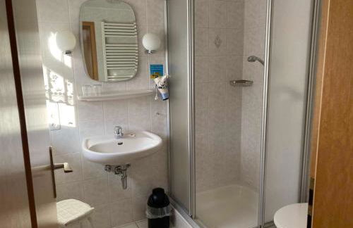 Bauernhofpension Büchsenschütz - Foto 11