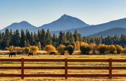 Spring Home 6 - Cozy 4BR Cabin in Black Butte Ranch w Fireplace - Foto 36