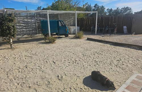 Casa Paloma - Foto 32