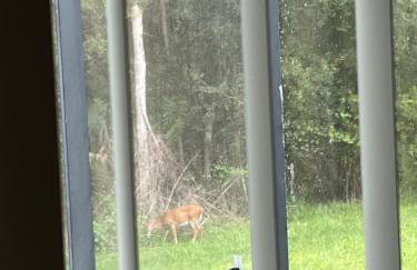 Home Away from Home - Foto 11