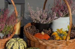 Powidoki Mazury - Foto 67