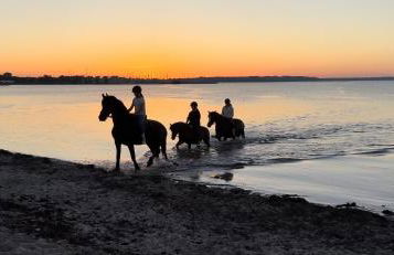 Ferienhaus Waldschlösschen - Foto 18