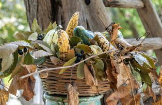 L'Aia di San Giorgio - Foto 33