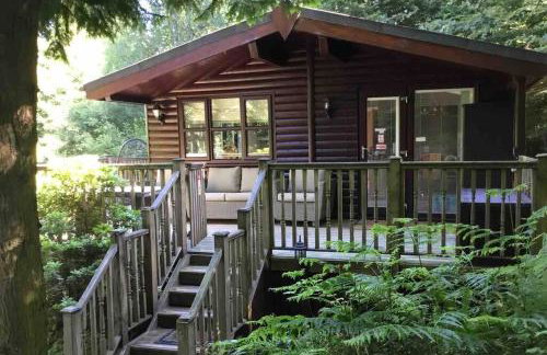 Mistletoe One Luxury Lodge with Hot Tub Windermere - Photo 9