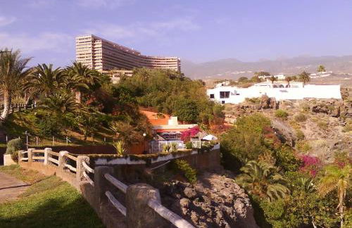 marazul del sur - Foto 22