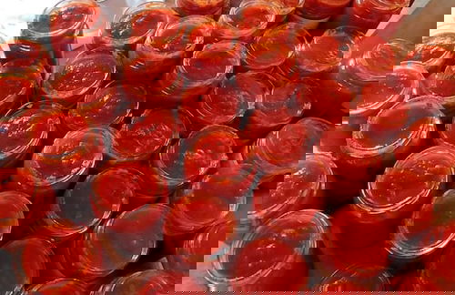 La Piana degli Ulivi - Foto 26