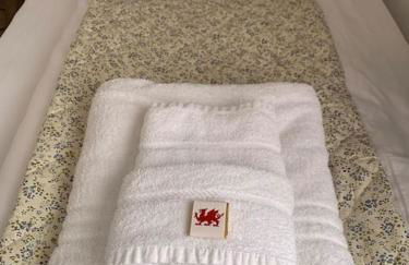 Mountain views in the heart of Brecon Town - Foto 28