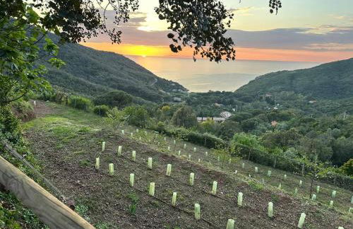 Agriturismo Paradisa - Foto 41