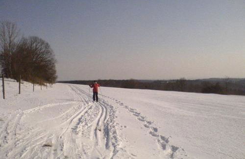 Ferienwohnung Irmgard und Ferienwohnung Gerlinde - Foto 36