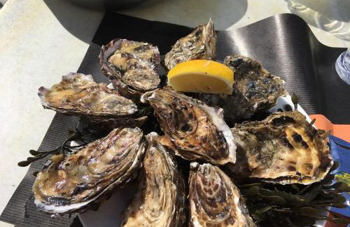 La Maison de Saint-Hernot - Photo 58