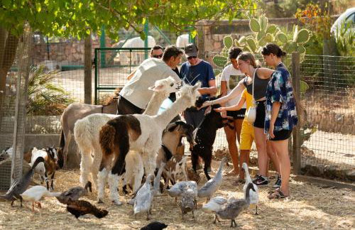 La Fattoria Delle Tartarughe - Photo 6