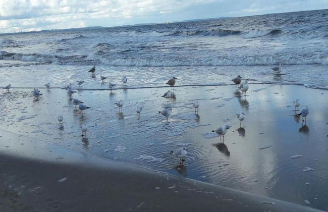 Bungalow With a Sunny Terrace - Foto 33