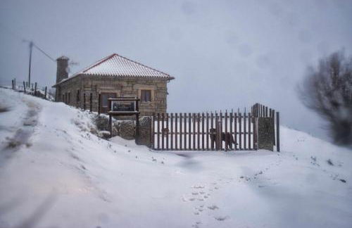 Casa Florestal, na Branda da Bouça dos Homens - Foto 20