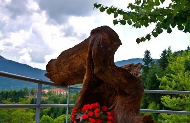 Ta Petrina - Foto 34