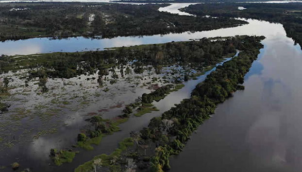 Isla del Bananal y Parque del Cantão en 5 días - Foto 3, Humedales
