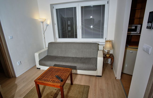 Apart & Wellness Hotel VILLA IVICA - Foto 44