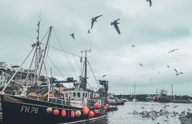 Cherry Orchard House - Foto 74