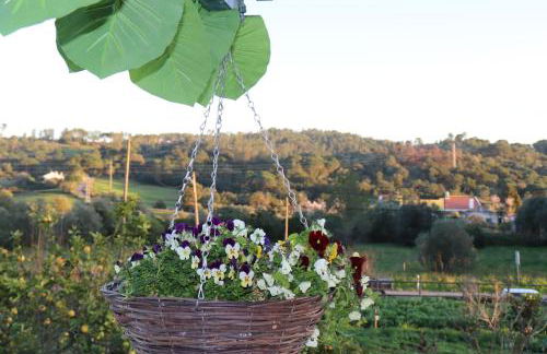 Casa da Ti Bia - Foto 19