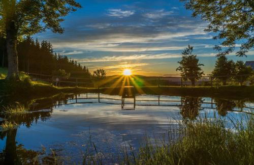 Ferienhaus Am Rösslewald - Photo 19
