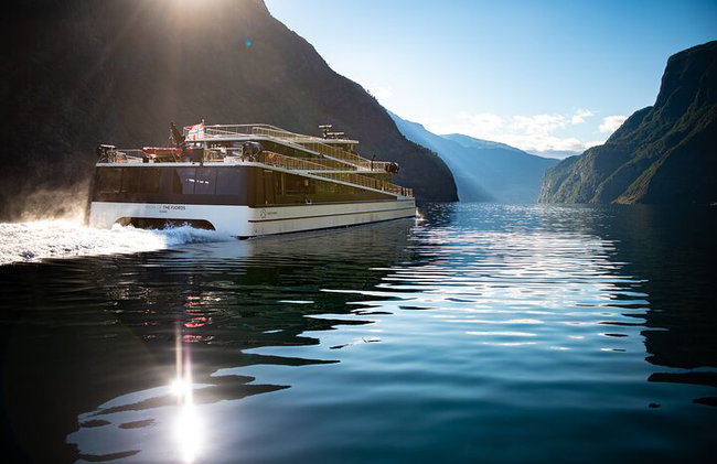 Geführte Tagestour - Nærøyfjord Kreuzfahrt, Flåm & Stegastein Aussichtspunkt - Foto 12