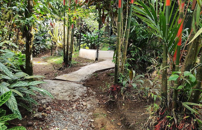 Rio Celeste Nature View - Foto 21