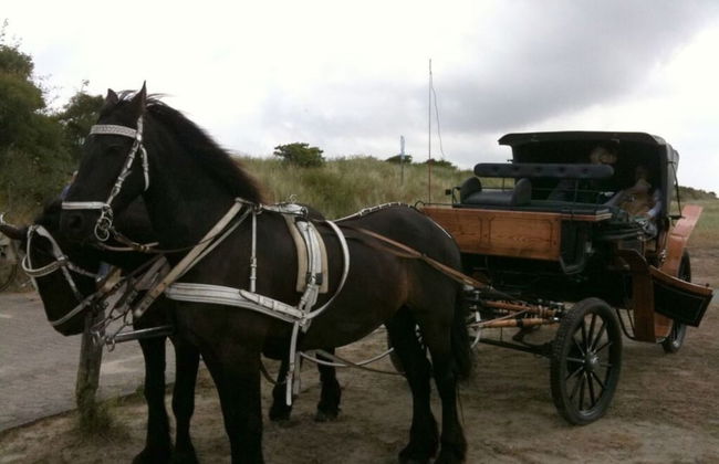 Klabautermann Maywald - Foto 14