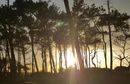 Appartement à deux pas de l ocean - Foto 15