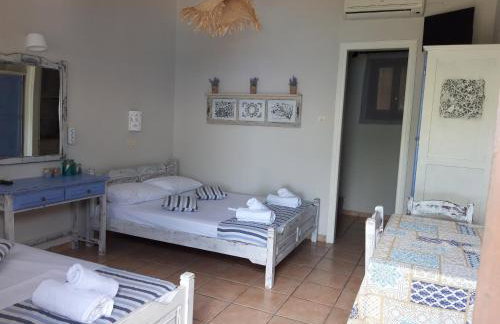 Ammos papanero - Foto 80