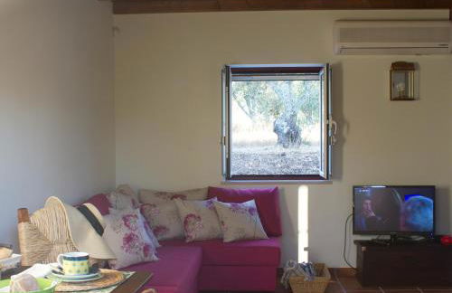 Vale De Ferreiros - Foto 69